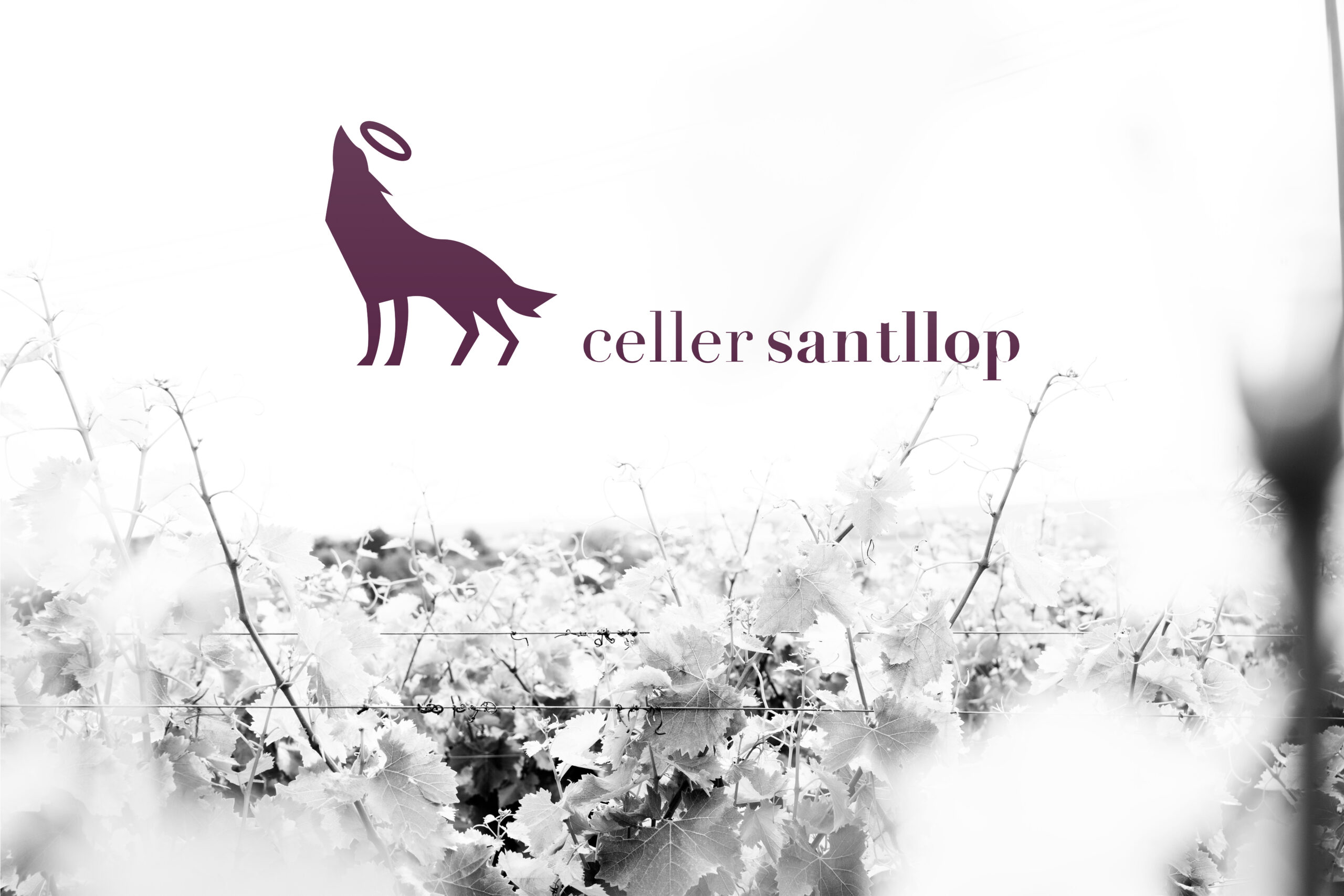 Celler Sant Llop